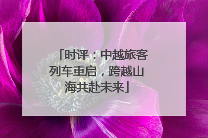 时评：中越旅客列车重启，跨越山海共赴未来
