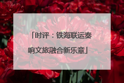 时评：铁海联运奏响文旅融合新乐章