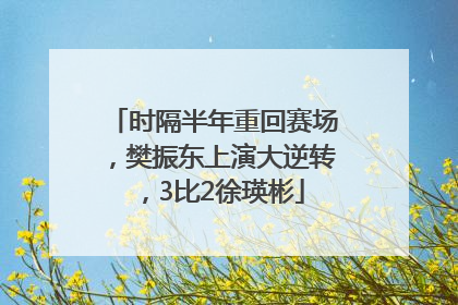 时隔半年重回赛场，樊振东上演大逆转，3比2徐瑛彬