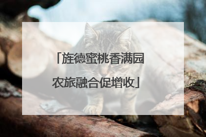 旌德蜜桃香满园 农旅融合促增收