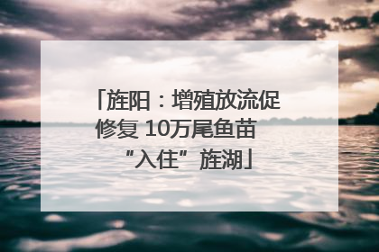 旌阳：增殖放流促修复 10万尾鱼苗“入住”旌湖