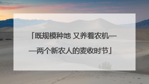 既规模种地 又养着农机——两个新农人的麦收时节