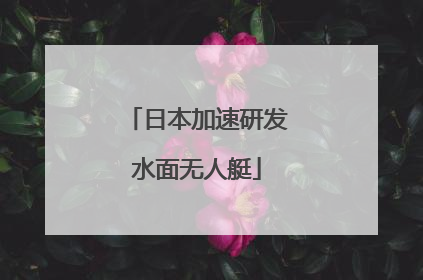 日本加速研发水面无人艇