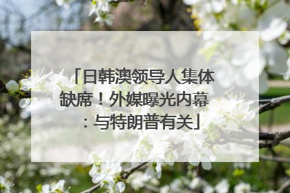日韩澳领导人集体缺席！外媒曝光内幕：与特朗普有关