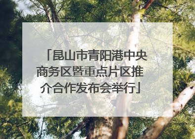 昆山市青阳港中央商务区暨重点片区推介合作发布会举行