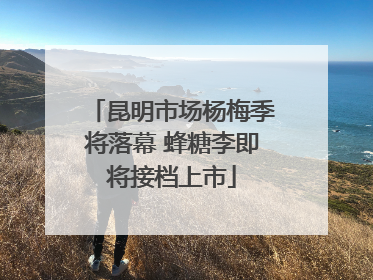 昆明市场杨梅季将落幕 蜂糖李即将接档上市