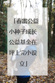 春雷公益小种子成长公益基金在坪上完小设立