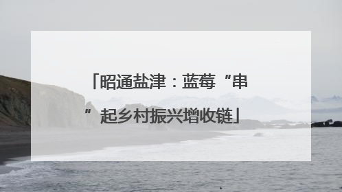 昭通盐津：蓝莓“串”起乡村振兴增收链