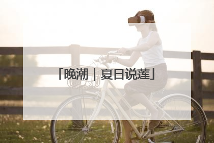 晚潮｜夏日说莲
