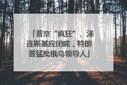 普京“疯狂”、泽连斯基应闭嘴，特朗普猛批俄乌领导人