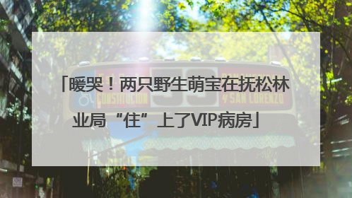 暖哭！两只野生萌宝在抚松林业局“住”上了VIP病房