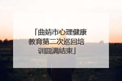 曲靖市心理健康教育第二次巡回培训圆满结束