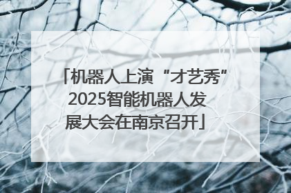 机器人上演“才艺秀” 2025智能机器人发展大会在南京召开
