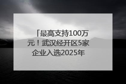 最高支持100万元！武汉经开区5家企业入选2025年度武汉市重点研发计划拟立项项目名单