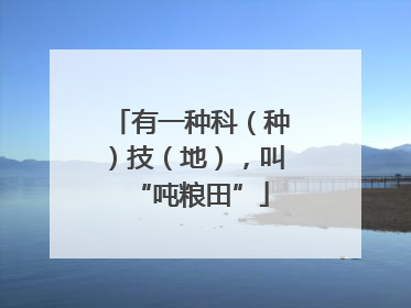 有一种科（种）技（地），叫“吨粮田”