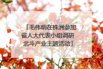 毛伟明在株洲参加省人大代表小组调研北斗产业主题活动