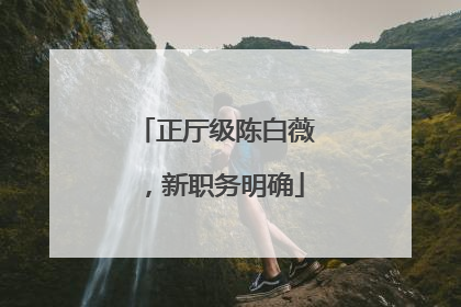 正厅级陈白薇，新职务明确