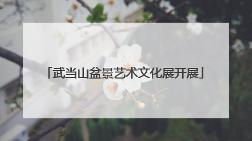 武当山盆景艺术文化展开展