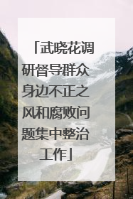 武晓花调研督导群众身边不正之风和腐败问题集中整治工作