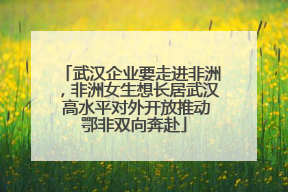 武汉企业要走进非洲，非洲女生想长居武汉 高水平对外开放推动鄂非双向奔赴