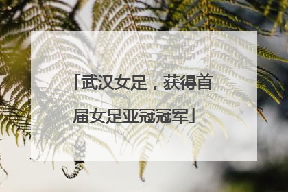 武汉女足，获得首届女足亚冠冠军
