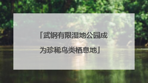 武钢有限湿地公园成为珍稀鸟类栖息地