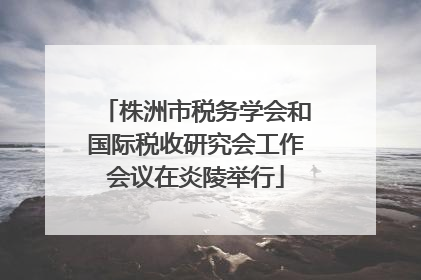 株洲市税务学会和国际税收研究会工作会议在炎陵举行