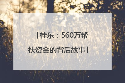 桂东：560万帮扶资金的背后故事