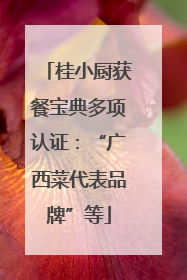 桂小厨获餐宝典多项认证：“广西菜代表品牌”等