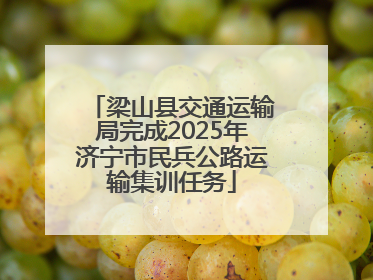 梁山县交通运输局完成2025年济宁市民兵公路运输集训任务