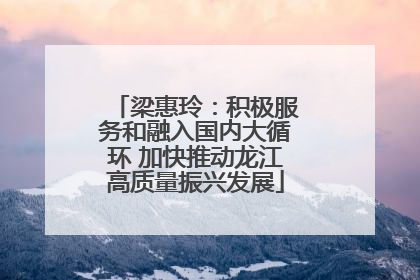 梁惠玲：积极服务和融入国内大循环 加快推动龙江高质量振兴发展