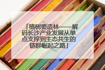 植树要造林——解码长沙产业发展从单点支撑到生态共生的链群崛起之路
