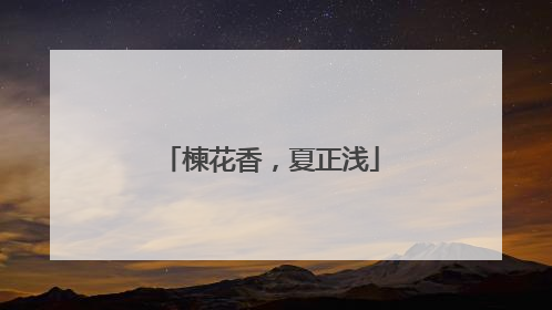 楝花香，夏正浅