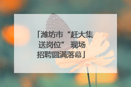 潍坊市“赶大集 送岗位” 现场招聘圆满落幕