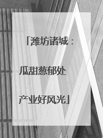 潍坊诸城：瓜甜葱郁处 产业好风光