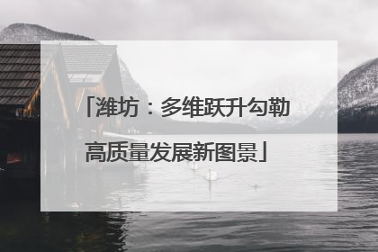 潍坊：多维跃升勾勒高质量发展新图景
