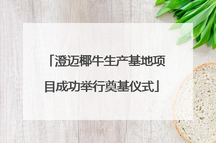 澄迈椰牛生产基地项目成功举行奠基仪式