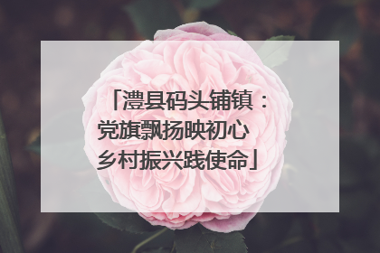 澧县码头铺镇：党旗飘扬映初心 乡村振兴践使命