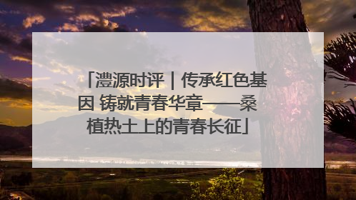 澧源时评｜传承红色基因 铸就青春华章——桑植热土上的青春长征