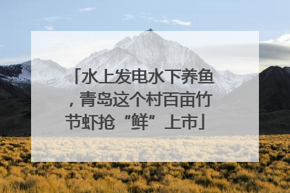 水上发电水下养鱼，青岛这个村百亩竹节虾抢“鲜”上市
