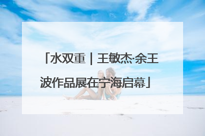 水双重｜王敏杰·余王波作品展在宁海启幕