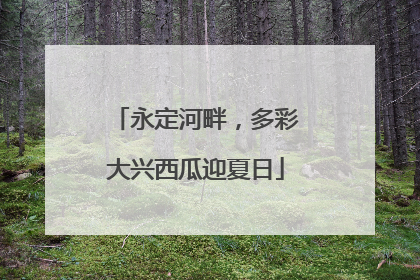 永定河畔，多彩大兴西瓜迎夏日