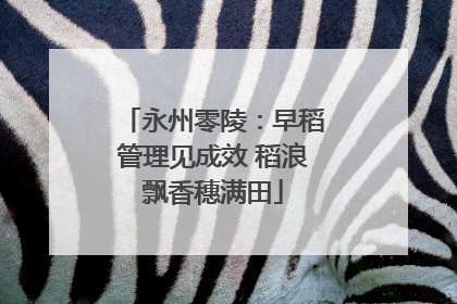 永州零陵：早稻管理见成效 稻浪飘香穗满田