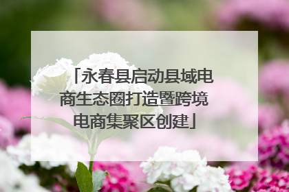 永春县启动县域电商生态圈打造暨跨境电商集聚区创建