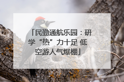 民勤通航乐园：研学“热”力十足 低空游人气爆棚