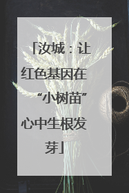 汝城：让红色基因在“小树苗”心中生根发芽