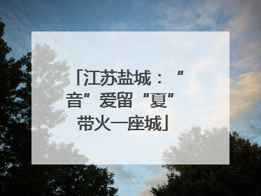 江苏盐城：“音”爱留“夏” 带火一座城