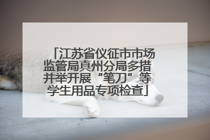 江苏省仪征市市场监管局真州分局多措并举开展“笔刀”等学生用品专项检查