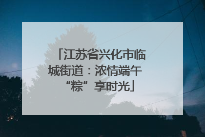 江苏省兴化市临城街道：浓情端午 “粽”享时光