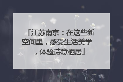 江苏南京：在这些新空间里，感受生活美学，体验诗意栖居